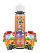 Chenapan e-liquid 50ml - Liquideo Multi Freeze