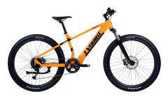 EvoBike Trail 2024