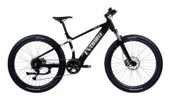 EvoBike Trail 2024