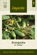 Druvgurka Partner F1 - Cucumis sativus Partner F1