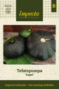 Squash, Tefatspumpa, Gagat - Cucurbita pepo Gagat