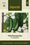 Växthusgurka Kalimero F1 - Cucumis sativus F1 Kalimero