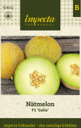 Nätmelon Galia F1 - Cucumis melo F1 Galia