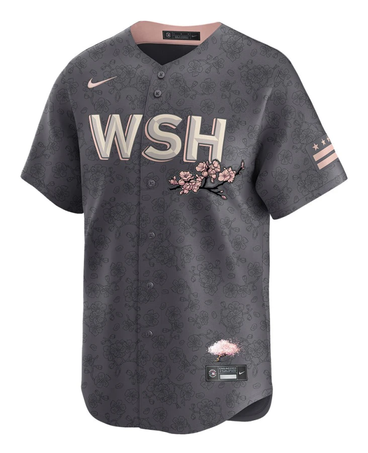 Nike Mlb Limited City Connect Jersey T-shirt Med Korta ärmar Grå L Man