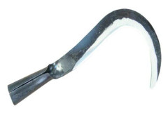 Täckning (täcktillbehör - takbeläggning) Imex el zorro - 31904 - Blad med rörformigt handtag,