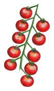 Körsbärstomat Gardener´s Delight - Solanum lycopersicum Gardener´s Delight