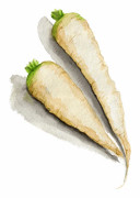 Morot Vinter Maruschka - Daucus carota sativus Maruschka