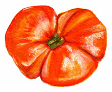 Bifftomat Cherokee Tiger Large Red - Solanum lycopersicum Cherokee Tiger Large Red