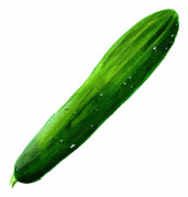 Slanggurka Gergana - Cucumis sativus Gergana