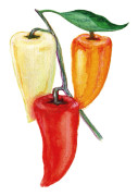 Paprika Ferenc Tender - Capsicum annuum Ferenc Tender