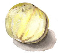 Nätmelon Billeberga - Cucumis melo Billeberga