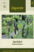 Spritärt, Blauwschokker - Pisum sativum Blauwschokker