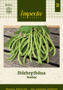 Störbrytböna Matilda - Phaseolus vulgaris Matilda