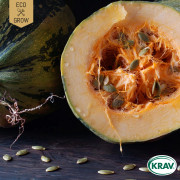 Pumpa, Nakenfrö-, Gleisdorfer, Ekologisk - Cucurbita pepo (Styriaca-gr.) Gleisdorfer