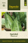 Spetskål Filderkraut - Brassica oleracea Filderkraut