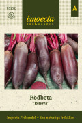 Rödbeta Renova - Beta vulgaris Renova