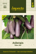 Aubergin Slim Jim - Solanum melongena Slim Jim