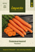 Morot Sommar Touchon - Daucus carota Touchon