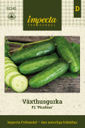 Växthusgurka F1 Picolino - Cucumis sativus F1 Picolino