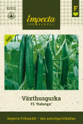 Växthusgurka F1 Kalunga - Cucumis sativus F1 Kalunga