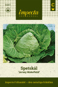 Spetskål Jersey Wakefield - Brassica oleracea Jersey Wakefield