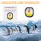 1 st Pinguinglasdekoration