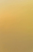  Presentpapper Guld, 57cm x 154m