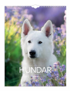 Burde Väggkalender Stora Hundkalendern 2025