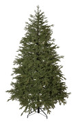 Julgran Star Trading Enedal