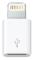 Lightning to Micro USB Adapter