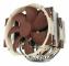 Noctua
