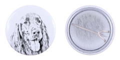 Engelsk setter, Laverack I - nåla med din hund, lägg till ditt eget foto, Art-Dog varumärke