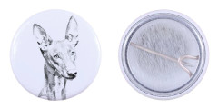 Faraos hund, maltesisk vinthund - nåla med din hund, lägg till ditt eget foto, Art-Dog varumärke
