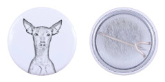 Naken peruansk hund, hårlös inkahund - nåla med din hund, lägg till ditt eget foto, Art-Dog varumärke