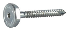 NIVÅSKRUV FÖR KARMMONTAGE TX30/HEX20 FZB 7,0X65 2ST | Beijerbygg Byggmaterial