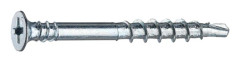 MONTAGE/GOLVGIPS SKRUV 4,8X47 PWS47ZK ZINK SPECIALSKRUV 250 250ST | Beijerbygg Byggmaterial