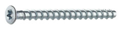 GOLVSKRUV BETONG 5X60 | Beijerbygg Byggmaterial