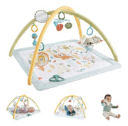 Fisher Price Sensimals Simply Senses Newborn Gym