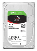 Seagate IronWolf ST10000VN000 - Hårddisk - 10 TB - intern - 3,5" - SATA 6Gb/s - 7200 rpm - buffert: 256 MB - med 3 års Seagate Rescue Data Recovery