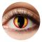 Crazylinser Dragon Eyes