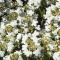 R&G Export