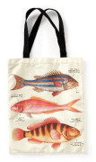 Judgy Fish Canvas Tote