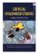 Critical Childhood Studies