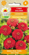 Frö till röd dahlia-zinnia – Stora, fyllda blommor i scharlakan