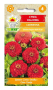 Frö till röd dahlia-zinnia – Stora, fyllda blommor i scharlakansrött