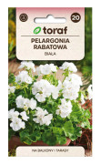 Frö till zonalpelargon vit – Praktfull blomning för krukor och rabatter