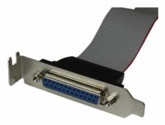 Adapter Startech PLATE25F16LP