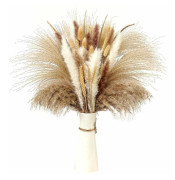 Naturlig torkad pampasgräs torkade blommor dekoration fluffiga växter torkade blommor vaser dekor bukett boho dekor för bord
