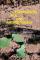 Experimental Film and Anthropology