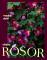 Vildare rosor